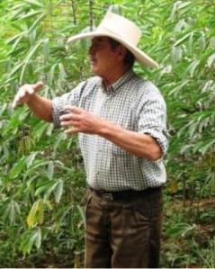 Ulises Moreno explicando lo importante que son sus plantas.